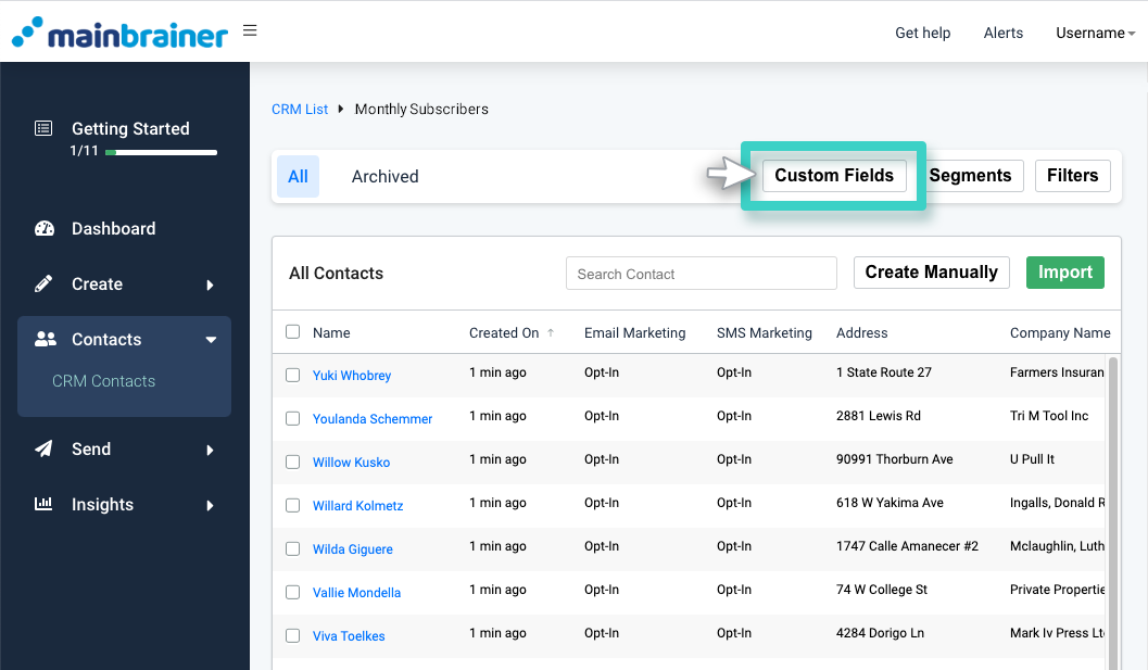 CRM custom fields properties, monthly subscribers list overview