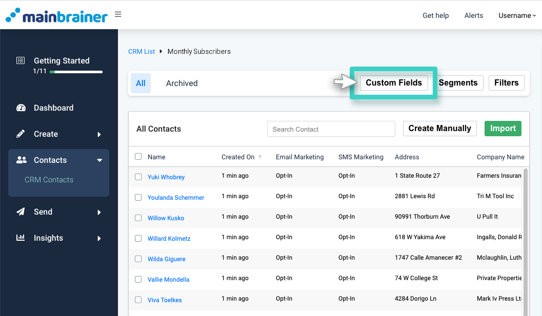 CRM custom fields, subscribers list overview. The custom fields button is highlighted