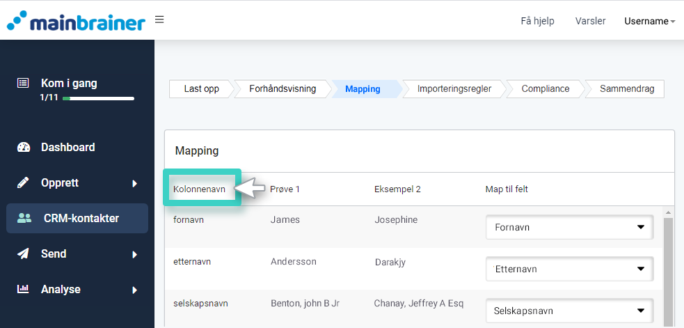 CRM tilpasset import, kartlegging. Kolonnenavn er uthevet