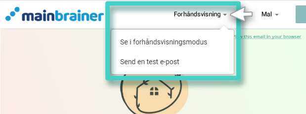 Opprett ny e-postkampanje. Gå inn i forhåndsvisningsmodus eller send en test-e-post