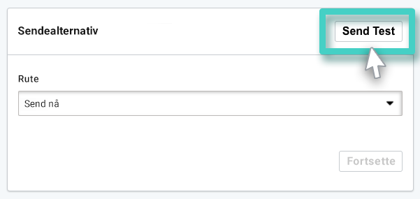 Sending av e-postkampanjer, sendealternativer. Send test-knappen er uthevet