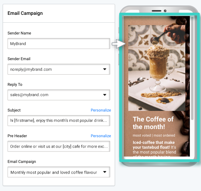 Email creator, email distribution settings with campaign preview