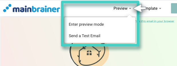 Create new email campaign. Enter preview mode or send a test email