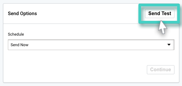 Email campaign sending, send options. The send test button is highlighted