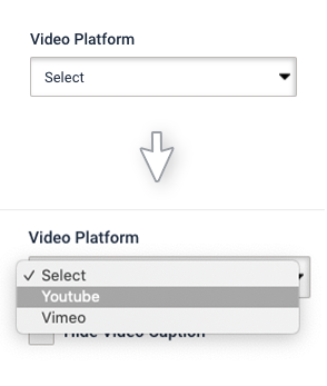 Email creator, video widget. Video platform field is highlighted. Youtube is selected