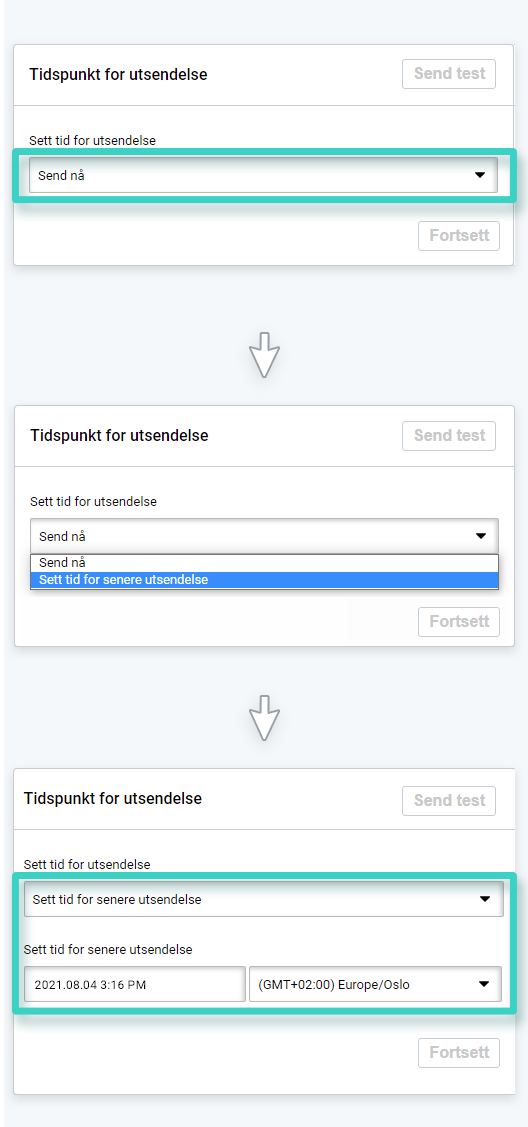 SMS-kampanje, sendealternativer. Send nå eller planlegg SMS-sending