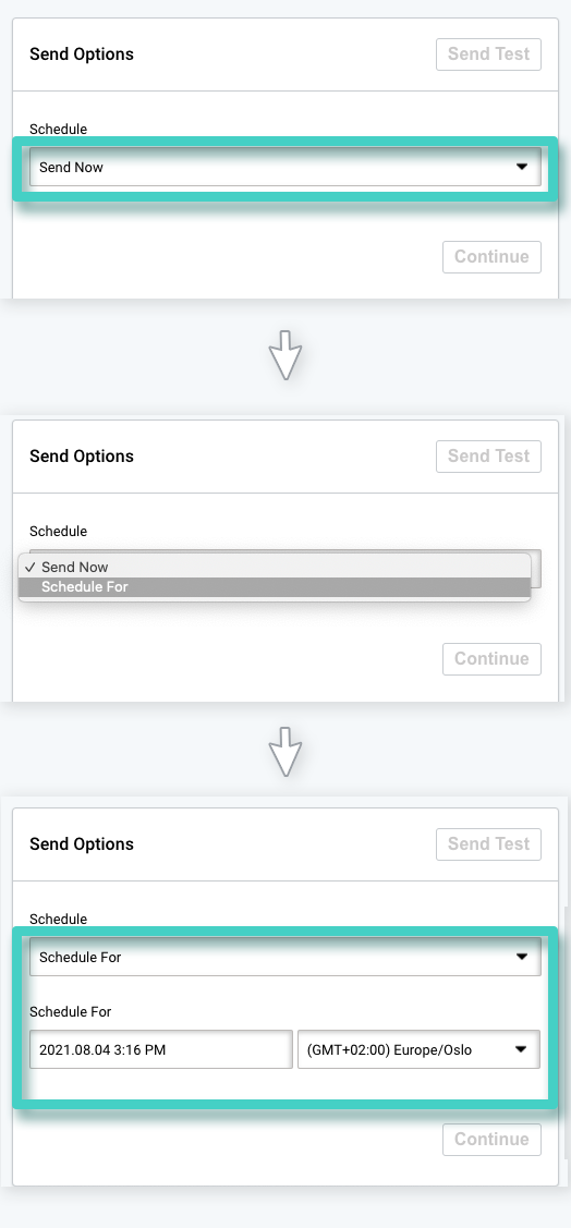 SMS campaign sending, send options. Send now or schedule for later