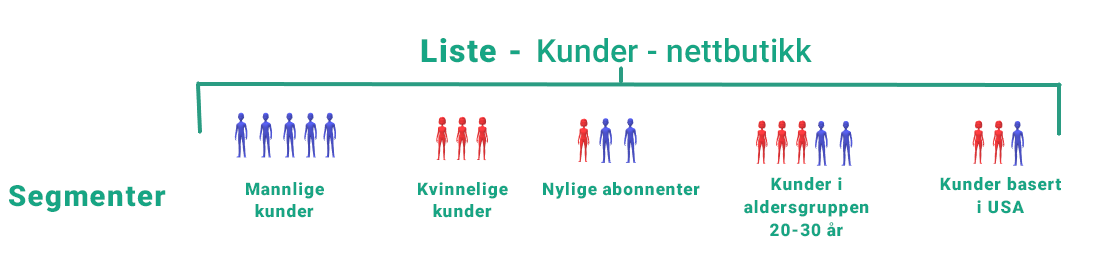 MainBrainer CRM, eksempel på kontaktsegmentering