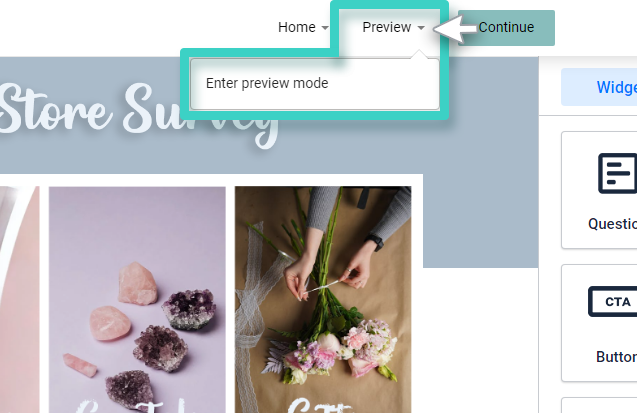 New Survey, preview. Enter preview mode button is highlighted