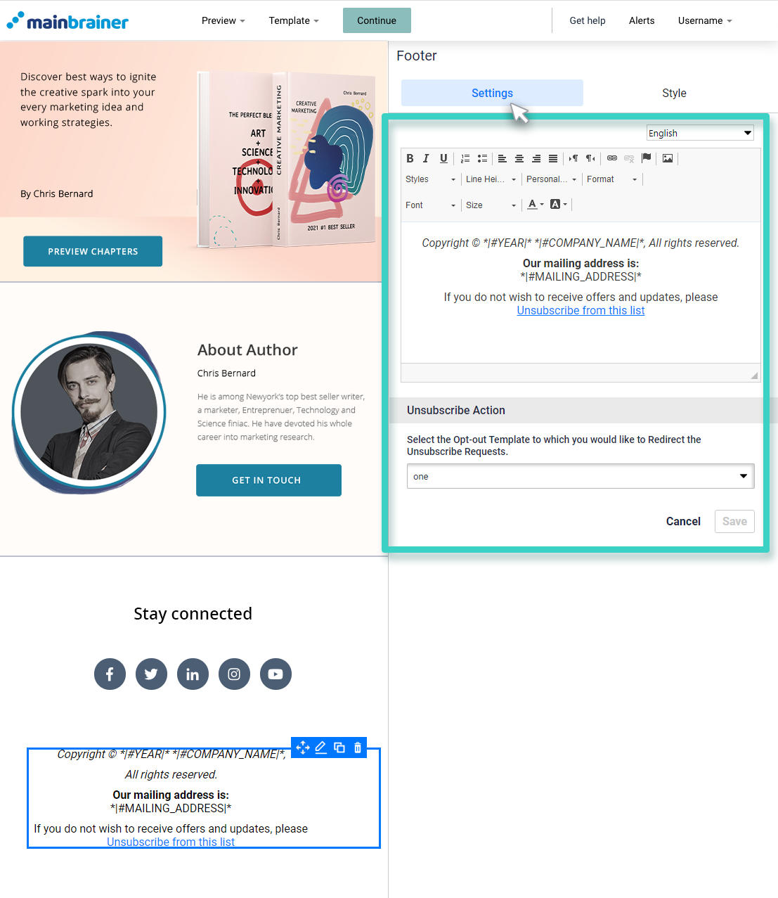 Footer widget settings for landing page footer