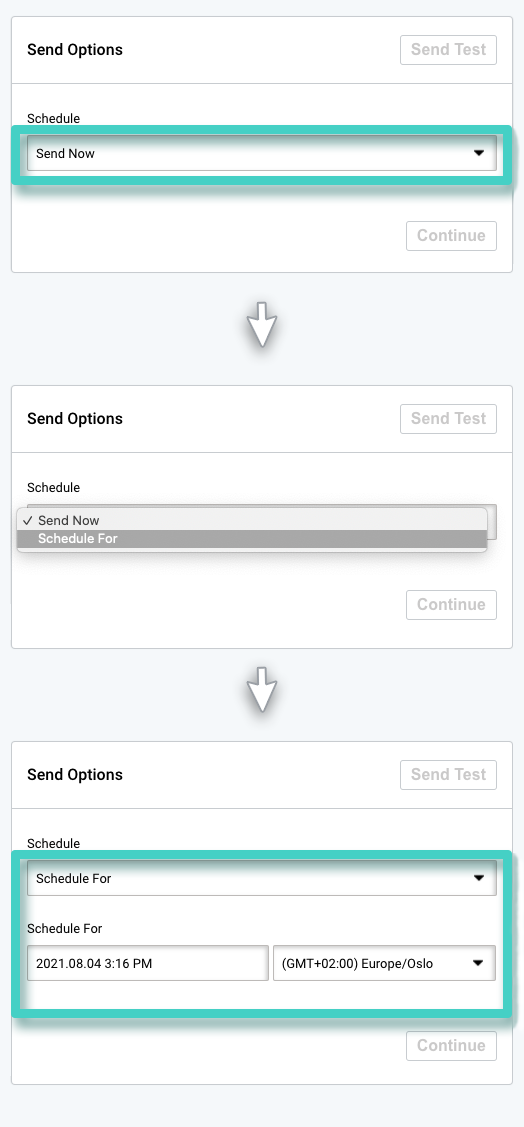 SMS campaign sending, send options. Send now or schedule for later